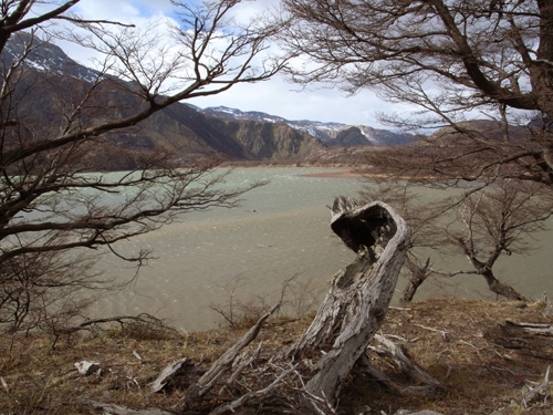 arg-pnlg-stamm.jpg