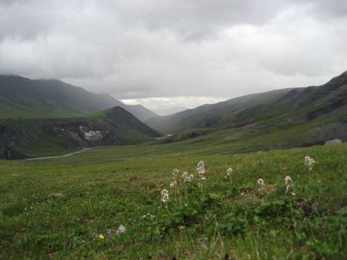 hike-lsc1.jpg
