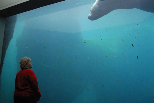 v-sealion-woman.jpg