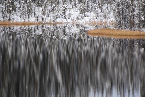 ls3_174.jpg