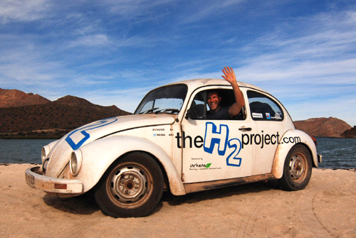 hm-mh-beetle.jpg