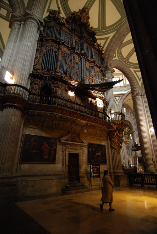 df-cath-org.jpg