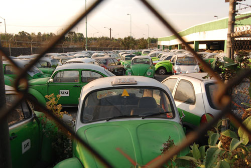 mxdf-taxi-fh.jpg